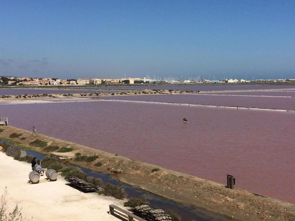 Gruissan Appartement Calme, Vue Sur Port De Plaisance -Clim, Empl.Parking Exteriér fotografie
